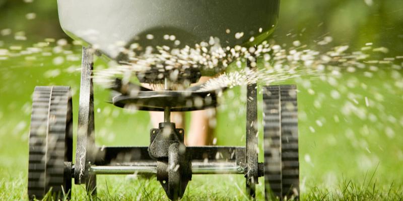 lawn seeding Terms Of Service, CA
